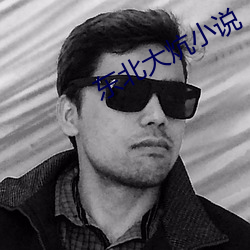 东北大(d)炕小说
