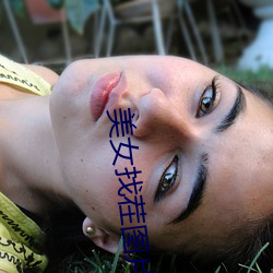 美女找茬图(t)片