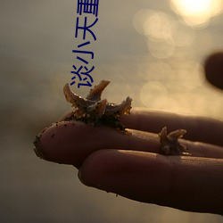 談小天重生1998