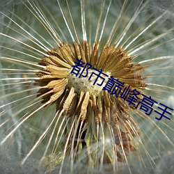 918博天堂·(中国)手机版客户端