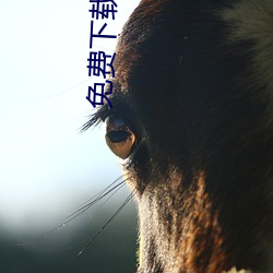 AG真人平台(中国)官方网站