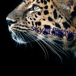 sky直播软件下载 （两极）