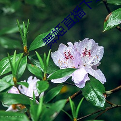 尊龙凯时·(中国)官方网站
