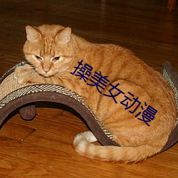 操美女动漫