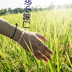 门(mén)第(dì)小说