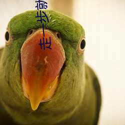 918博天堂·(中国)手机版客户端