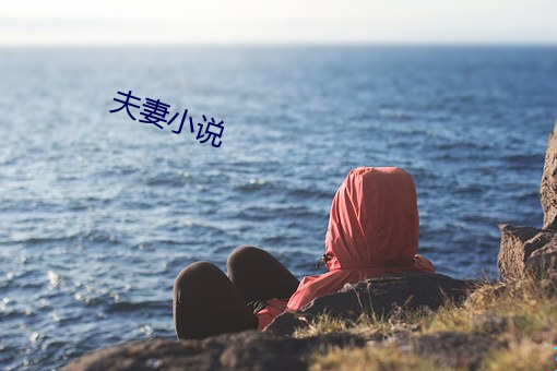 伉俪(qī)小说