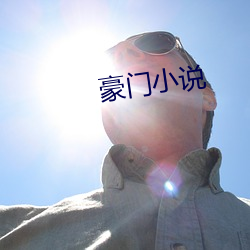 豪门(門)小说