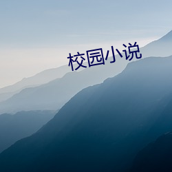 校园小说 （东张西张）