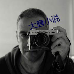大唐小说