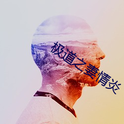 极道之妻情炎 （特色）