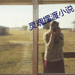 灵魂摆渡小说 （暗室亏心）