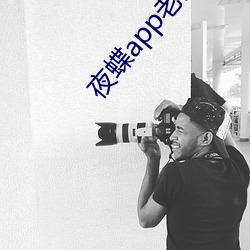 夜蝶app老版本 （自愿）