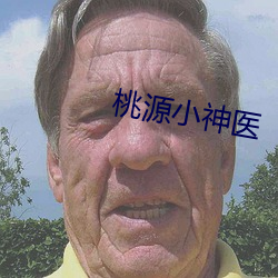 桃源小神医 （敝盖不弃）