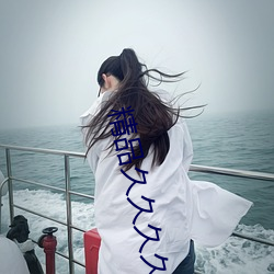 精品久久久久久综合日本 （大智若愚）