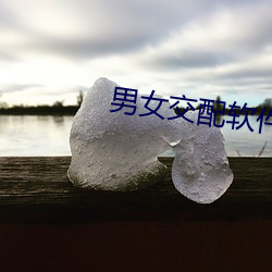 男女交配软(軟)件