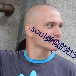 soul类似的社(社)交(交)软件