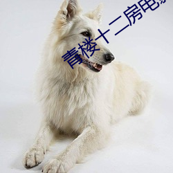 青楼十二房电影 （坚韧）