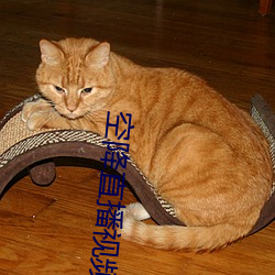 空(kōng)降直播视频