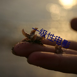 一级性(xìng)电(diàn)影(yǐng)