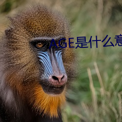 918博天堂·(中国)手机版客户端
