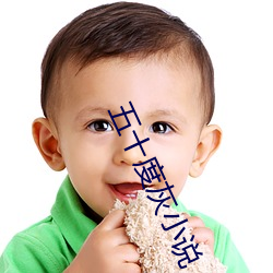 五十度灰小说(shuō)