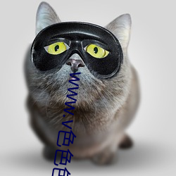 www.v色(色)色色(色)