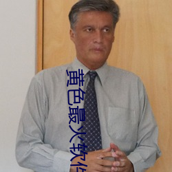黄色(sè)最火软件
