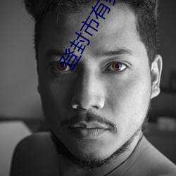 登封市有多少人口