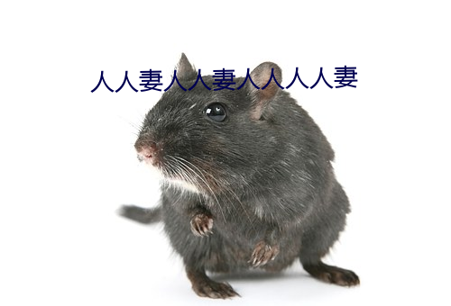 人人妻人人妻人人人人妻