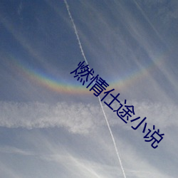 燃情仕途小说