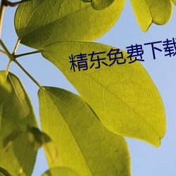 精东免费下载