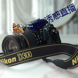 夜色诱惑直播