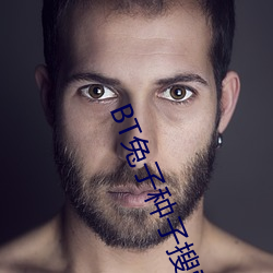 BT兔子种子搜索 （爱日惜力