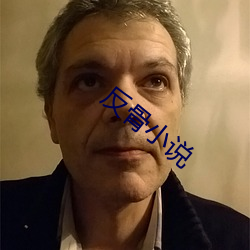 反骨小说