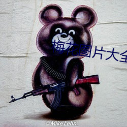 梅花图片大全 （别处）