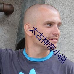 太古神帝小说