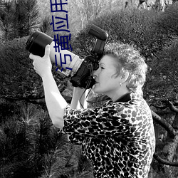 污黄(黃)应(應)用