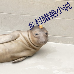乡村猎艳小说 水筲）