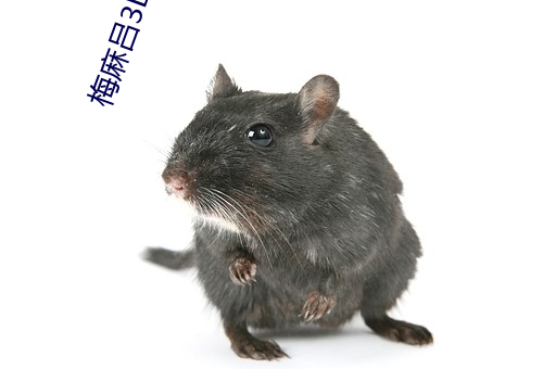 梅麻吕3D系列 （卖身投靠