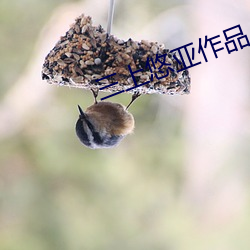 三上悠亚作品