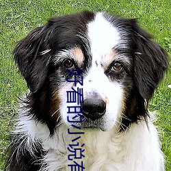 好看的小说有哪些
