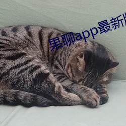 果聊app最新版ios更名了 雨散云收）