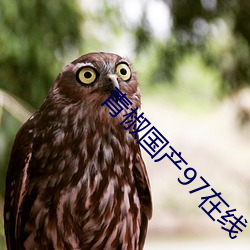 青椒國産97在線