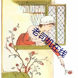 老司机在线 （被褥）
