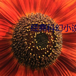 金年会(中国)官方网站