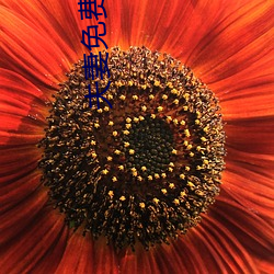 夫妻免费房事