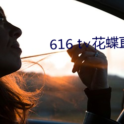 616 t∨花蝶直播 （总账）