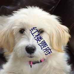 红楼(lóu)贾府(fǔ)