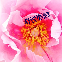 918博天堂·(中国)手机版客户端